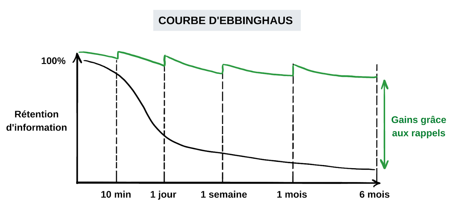 Il est possible de contrer la courbe de l'oubli avec des rappels (source : https://everlaab.com/courbe-debbinghaus/)